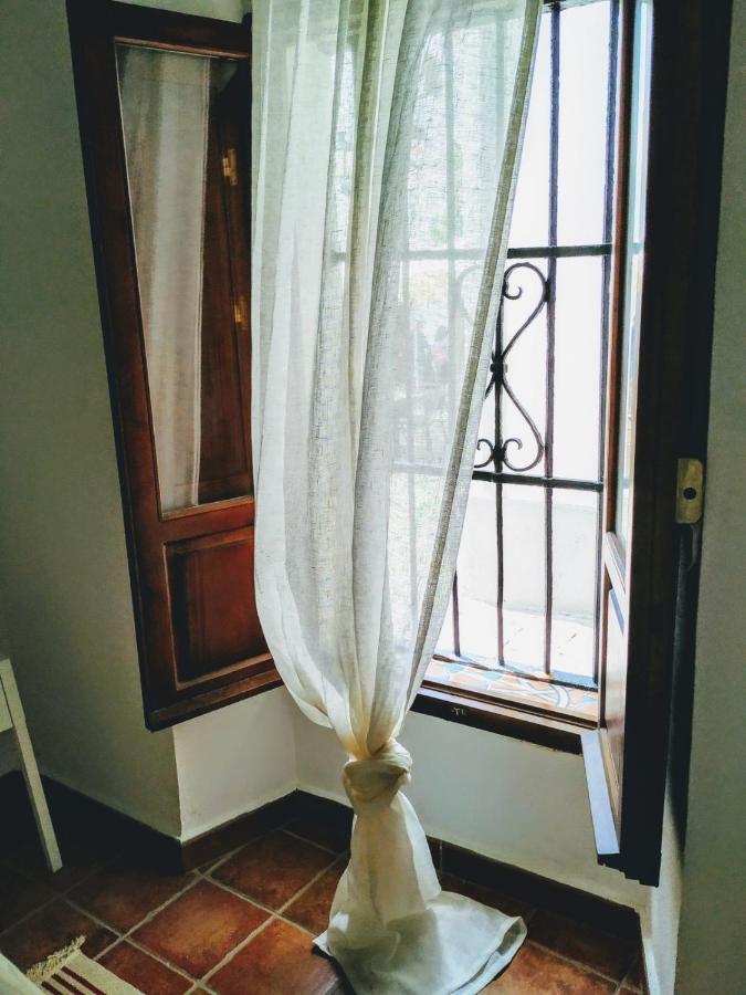 Apartment Carola